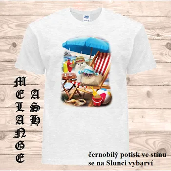 detske-bavlnene-tricko-uv-potisk-kocky-plaz Barva: Ash melange - popelová směs, velikost: 152