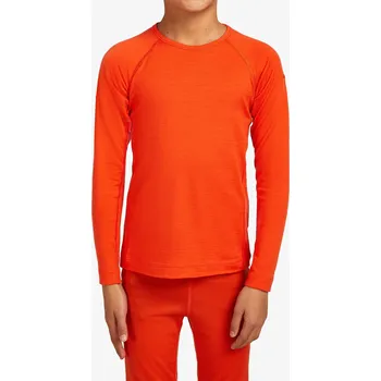 Chlapecká mikina Dětská mikina Icebreaker Kids 200 Oasis LS Crew - fervid