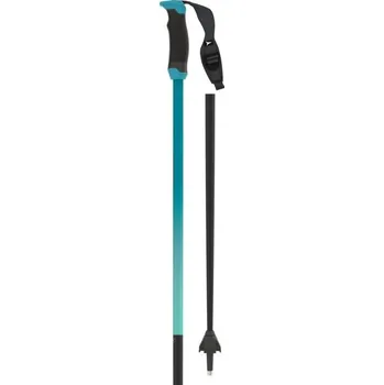 Lyžování ATOMIC REDSTER X CARBON SQS Teal Tension/Black Délka: 125cm