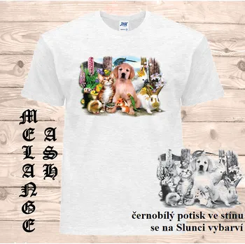 Chlapecké tričko detske-bavlnene-tricko-uv-potisk-pejsek-zviratka Barva: Heather grey - vřesově šedá, velikost: 104