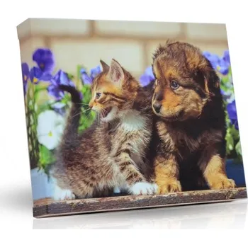 Party dekorace Pes s kočkou čoko pohárky 125g