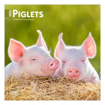 Kalendář Piglets 2026 7 X 14 Inch (Hanging) Monthly Mini Wall Calendar (EN)
