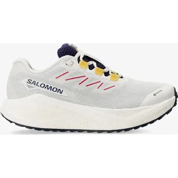 Dámská obuv Běžecké boty dámské Salomon Aero Blaze 3 Grvl GTX - vanila/astral/astral