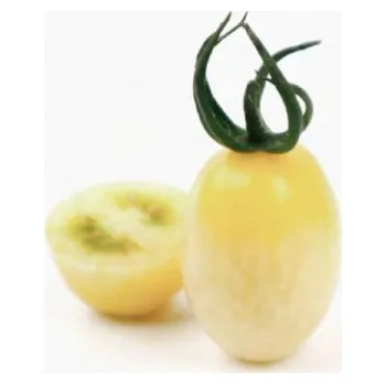 Semeno Rajče tyčkové Moonshine F1 (cherry, žlutobílé, oválné, sladké, odolné plísni)