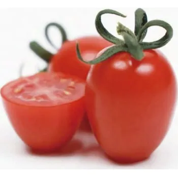 Semeno Rajče tyčkové HTO 2268 F1 (cherry, oválné, odolné plísni)