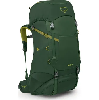 turistický batoh Dětský turistický batoh Osprey Ace 38 - green canopy