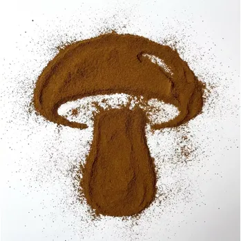 Přírodní produkt Sibipharm Čaga sibiřská 1000 g