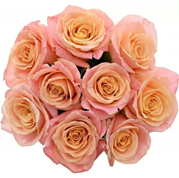 umělá květina Kytice 9 růžových růží MISS PIGGY 60 cm