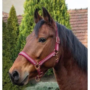 Sport KENTAUR Ohlávka Kentaur ROSEGOLD s proužky vínová Cob