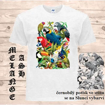 Dívčí tričko detske-bavlnene-tricko-uv-potisk-ptaci Barva: Heather grey - vřesově šedá, velikost: 152