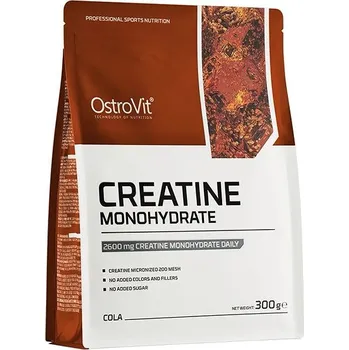 Kreatin OstroVit Kreatin monohydrát 300 g