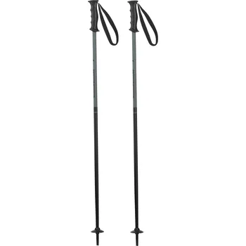 Sjezdová hůlka ELAN HOTROD JR BLACK Barva: Černá, Velikost: 75