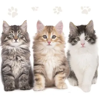 Papírový ubrousek Ubrousky celoroční SLOG 0472 01