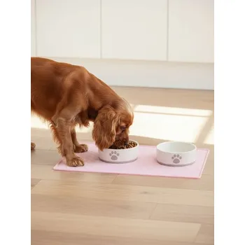 Miska pro psa Sinsay - Miska pro zvířata - krémová - 7748P-01X - 7748P-01X-ONE-8