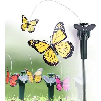 Grugen Solární motýl