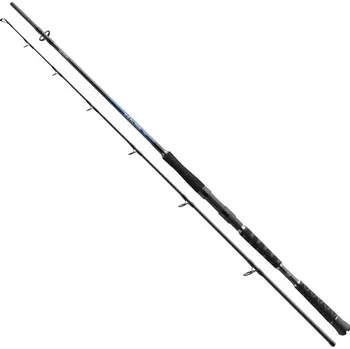 Daiwa Prut Sealine Pilk 2,25m 50-125g 2-díl