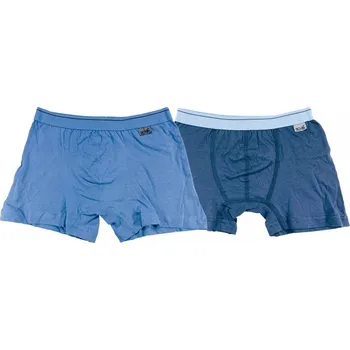 Dětské termo spodní prádlo Chlapecké trenkoslipy NOVIA 013 | světle modrá 128