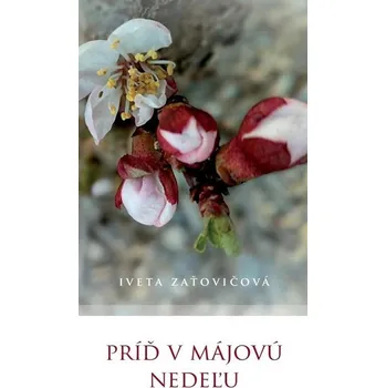 Kniha Príď v májovú nedeľu
