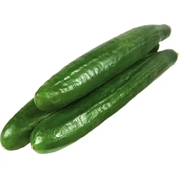 Okurky hadovky 250+ čerstvé 4.5kg