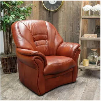 Obývací pokoj Kožené křeslo Bologna 1M hnědé