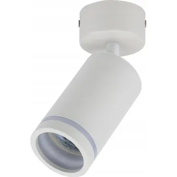 Bodové svítidlo Bodové svítidlo kulatý TK-Lighting bílé