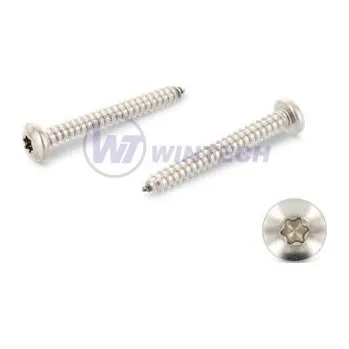 Šroub do plechu 3,9x6,5 DIN 7981C A2 TX Balení: 1000 ks SCBEK39006AO0