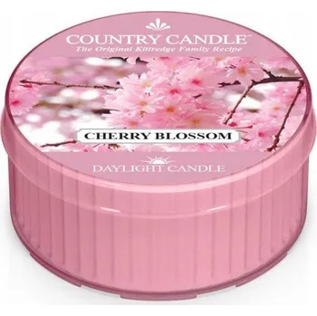 Svíčka Tradiční sójová svíčka 1 ks Country Candle 1 ks