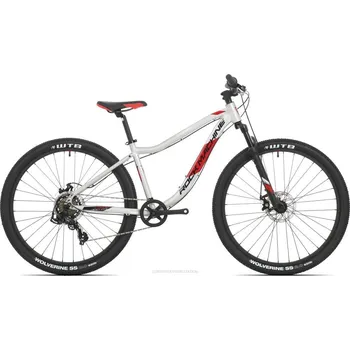 Dětské kolo Rock Machine Storm 27 MD stříbrná/červená (135-155 cm) (Dětské kolo Rock Machine Storm 27 MD/Gloss Silver/Black/Red/27x13.5" (XS))