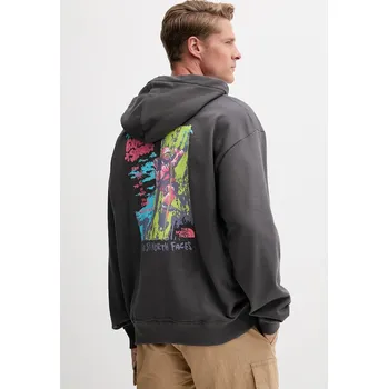 Pánská mikina Bavlněná mikina The North Face Expedition Celebration NF0A8E3FRHI1 šedá 90X, vel. S