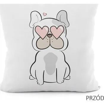 Povlak na polštářek Dekorační povlak na polštář Markizeta 40 x 40 cm