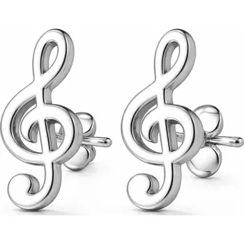 Náušnice Náušnice z chirurgické oceli - Stříbrná