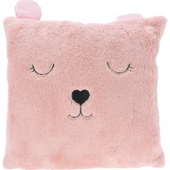 Polštář Polštář 43 x 43 cm