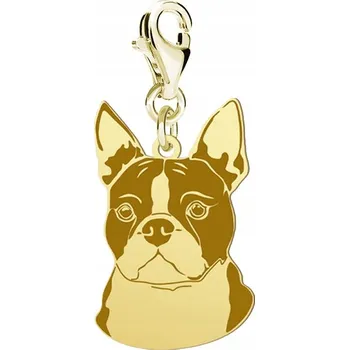 Přívěsek Boston Terrier Pozlacený přívěsek s DEDIKACÍ DÁREK