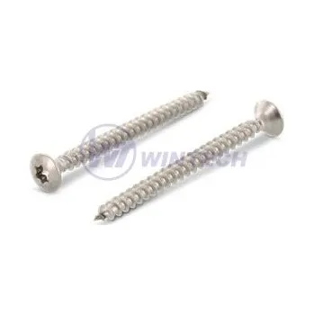 Vrut Vrut do dřeva čočk. hl. 5x25, TX25, A2 Balení: 500 ks SAABJ50025AAO0