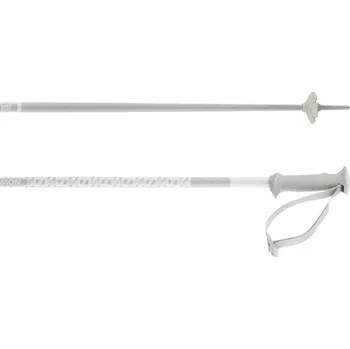 Sjezdové lyžování Sjezdové hole Salomon Polar Access White