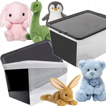 Úložný box Průhledný box s víkem