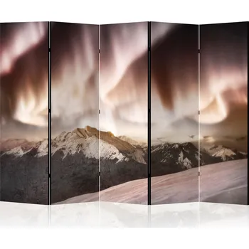 Paraván Dekorační paraván jednostranný, zástěna, dělící stěna 225x172 cm - Motiv: Květiny