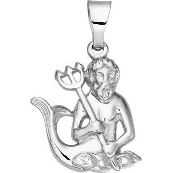 Přívěsek Bealio BEALIO 08531 Stříbrný přívěsek znamení zvěrokruhu VODNÁŘ 03-08531-3845