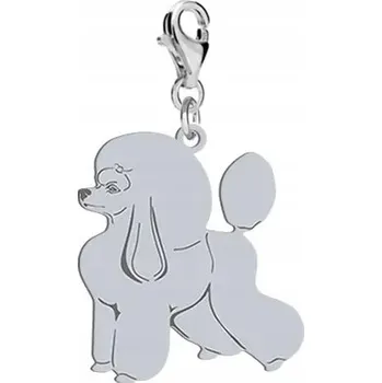 Přívěsek Stříbrný přívěsek Charms s pudlem - DEDIKACE DÁREK