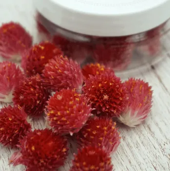 Jedlá dekorace na dort Sugar and Cakes ROSIE ROSE - SUŠENÉ KVĚTY PESTROVKY KULOVITÉ - ČERVENÉ 15ks