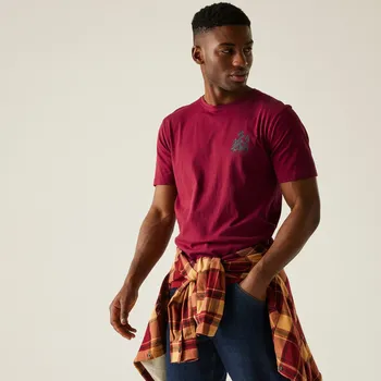 Pánské tričko Regatta Pánské bavlněné triko Cline IX RMT296 Velikost: L