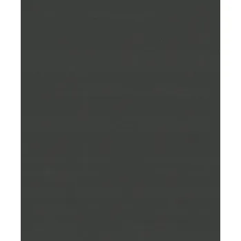 Tapeta ČERNÁ VINYLOVÁ TAPETA NA VLIESU – JEDNOBAREVNÉ POZADÍ BEZ VZORU