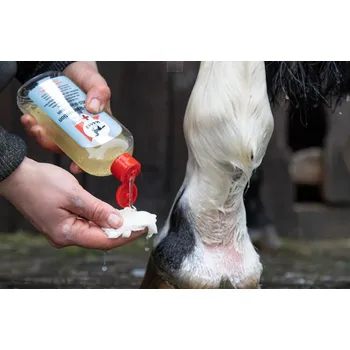 Dezinfekce LEOVET mycí roztok první pomoci MED-Waschlotion 250 ml