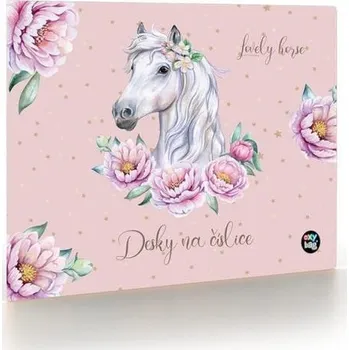 Pořadač / Organizér A4 Oxybag