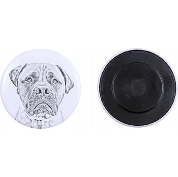 Obraz Bullmastiff, Bulmastif – magnet se psím mazlíčkem, mimořádně lehký, silný mág
