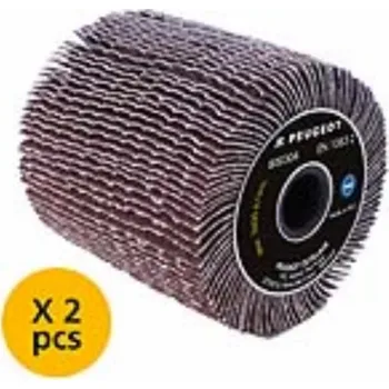 Brusný kotouč Peugeot 2ks brusný lamelový kartáč zrnitost 80 průměr 120MM šířka 100MM 800304