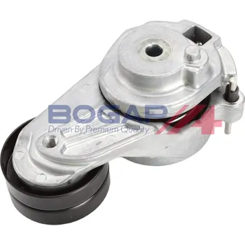 Rozvod motoru Napínák žebrovaného klínového řemenu BOGAP C1317116