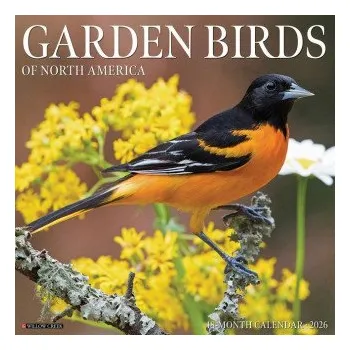 Kalendář Garden Birds 2026 12 X 12 Wall Calendar (EN)