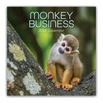 Diář Monkey Business 2026 - 16-Monatskalender (EN)