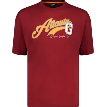 Pánské tričko Pánské tričko ve větší velikosti s krátkým rukávem Adamo 131503-590 bordó (6XL)